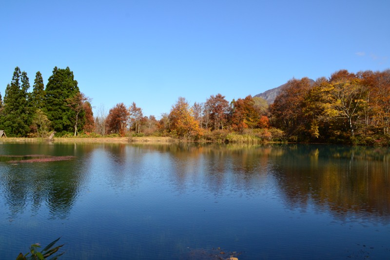 f:id:y3575t3545:20211212222014j:plain
