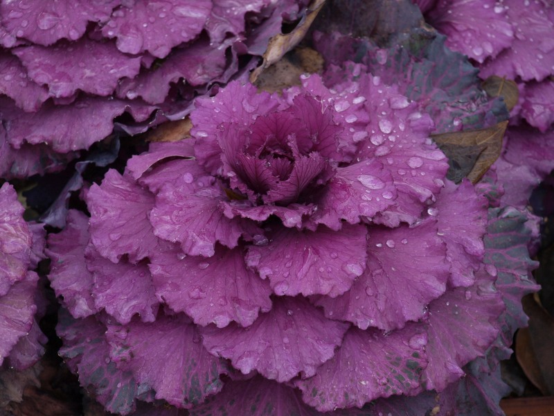 f:id:y3575t3545:20220104104202j:plain