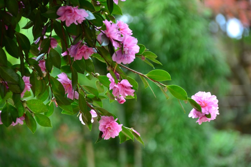 f:id:y3575t3545:20220108204125j:plain