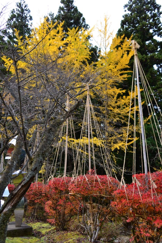 f:id:y3575t3545:20220123203721j:plain