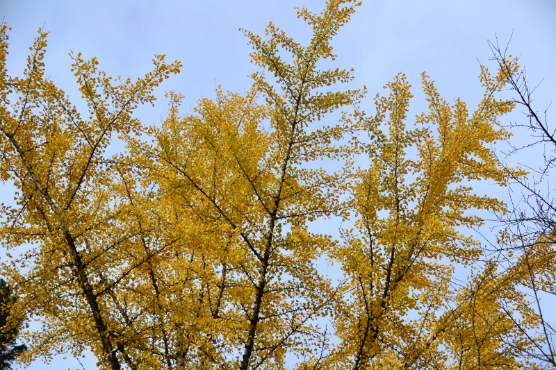 f:id:y3575t3545:20220123203820j:plain