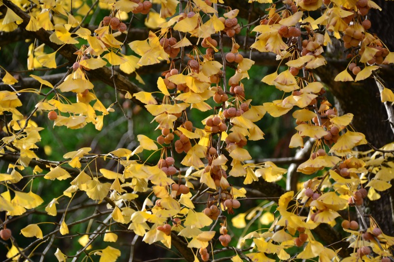 f:id:y3575t3545:20220123203948j:plain