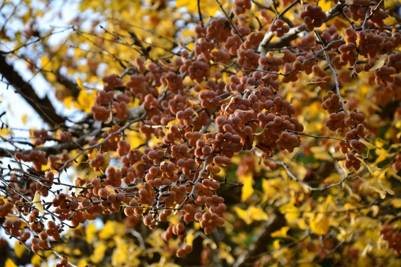 f:id:y3575t3545:20220123204019j:plain