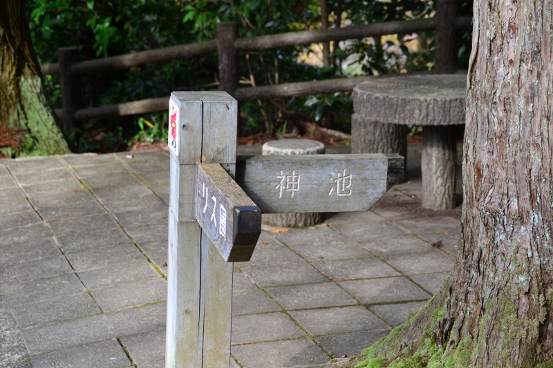 f:id:y3575t3545:20220123204204j:plain