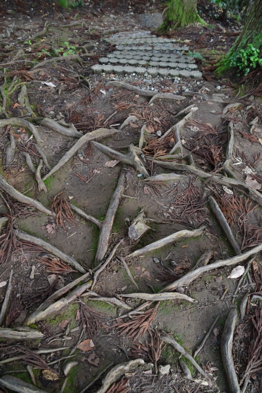 f:id:y3575t3545:20220123204355j:plain