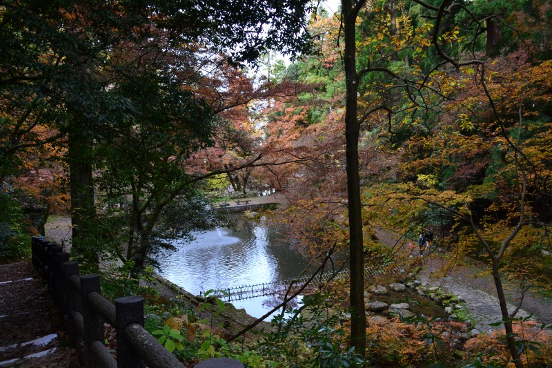 f:id:y3575t3545:20220123204437j:plain