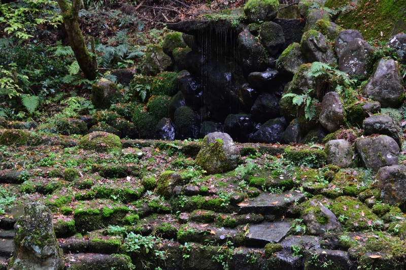 f:id:y3575t3545:20220123205608j:plain