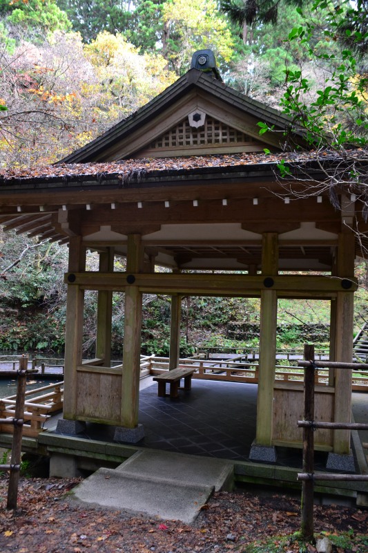 f:id:y3575t3545:20220123205637j:plain