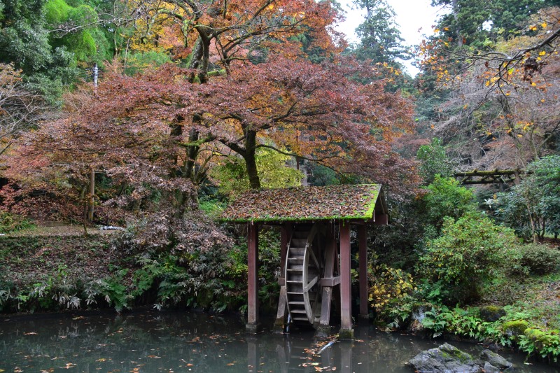 f:id:y3575t3545:20220123210158j:plain