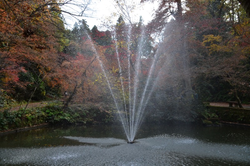 f:id:y3575t3545:20220123210416j:plain