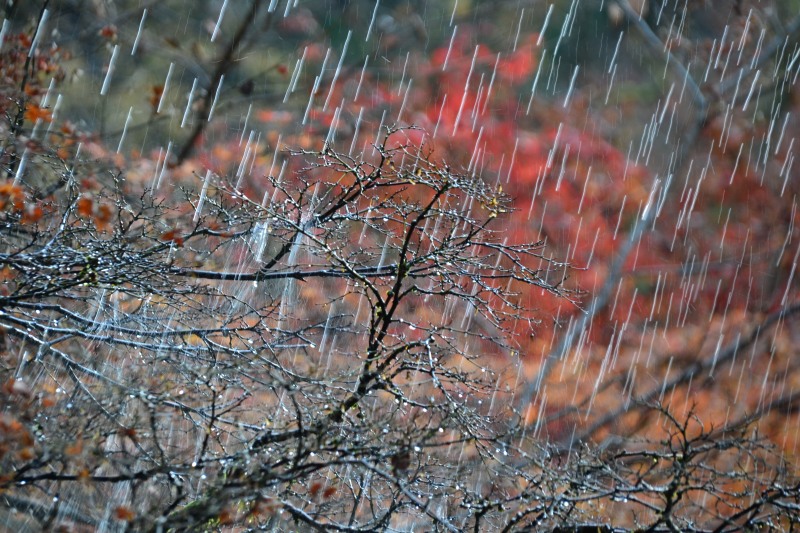 f:id:y3575t3545:20220123210523j:plain