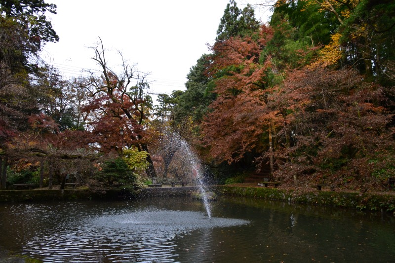 f:id:y3575t3545:20220123210807j:plain