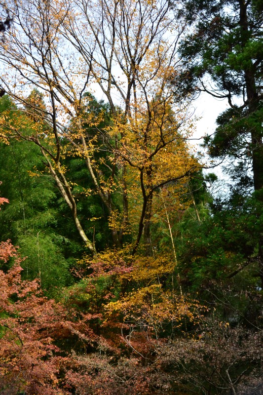 f:id:y3575t3545:20220123210815j:plain