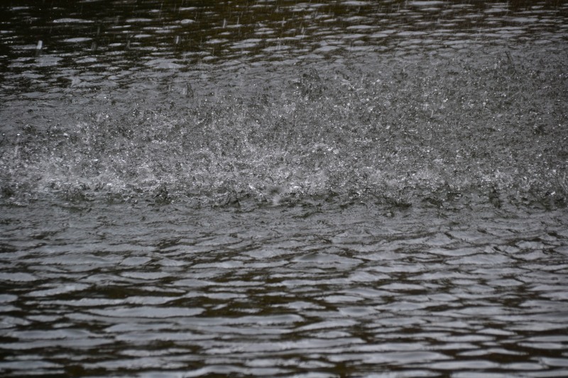 f:id:y3575t3545:20220123210854j:plain