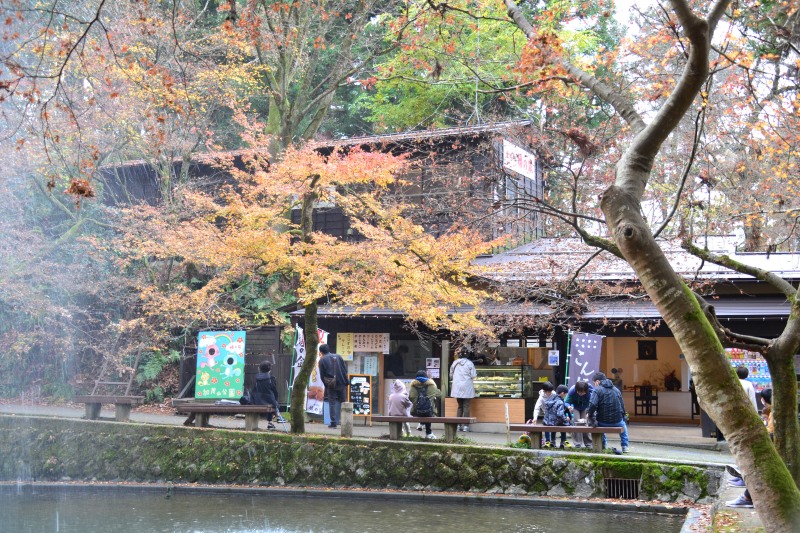 f:id:y3575t3545:20220123211554j:plain