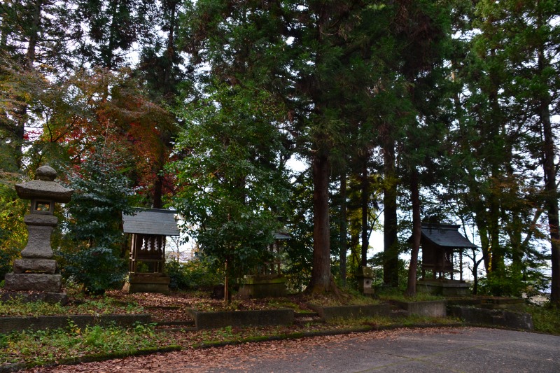 f:id:y3575t3545:20220123214754j:plain