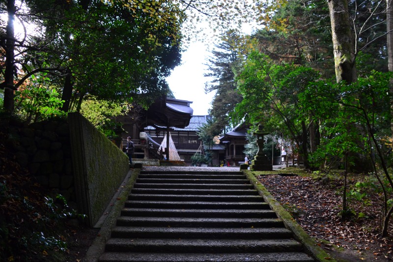 f:id:y3575t3545:20220129164951j:plain