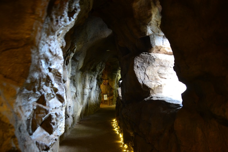 f:id:y3575t3545:20220320105856j:plain