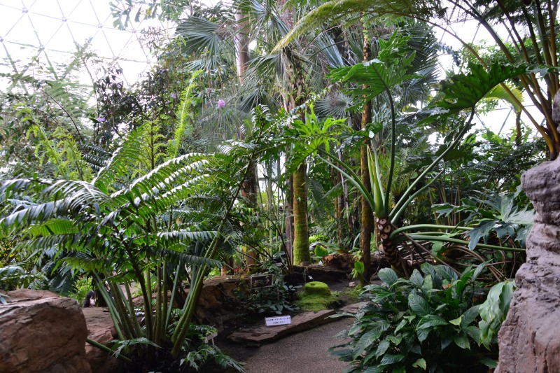 f:id:y3575t3545:20220320105902j:plain