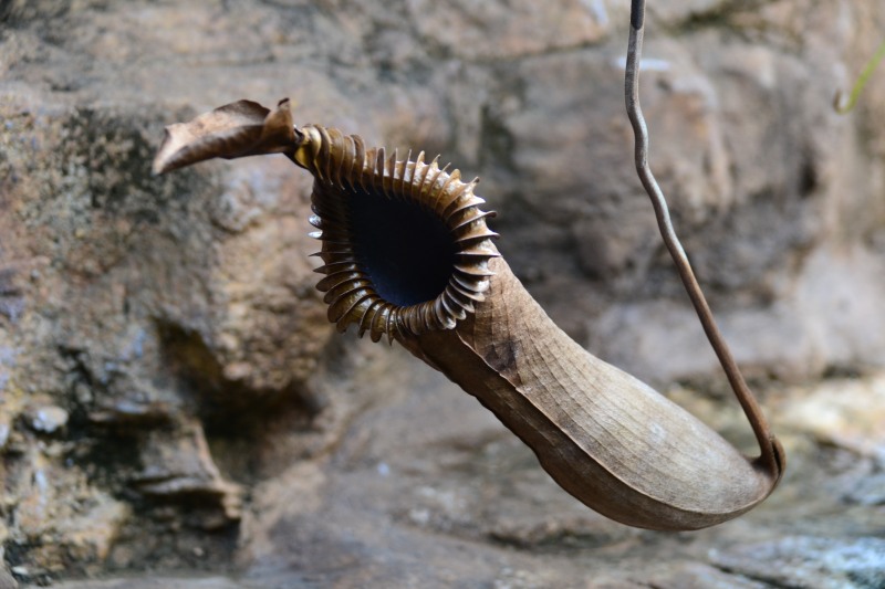 f:id:y3575t3545:20220320110944j:plain