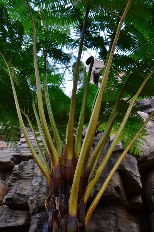 f:id:y3575t3545:20220320113807j:plain