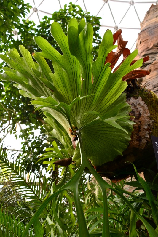 f:id:y3575t3545:20220320114731j:plain