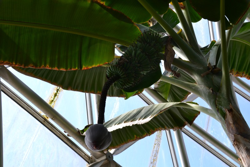 f:id:y3575t3545:20220320114856j:plain