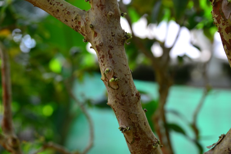 f:id:y3575t3545:20220320120548j:plain