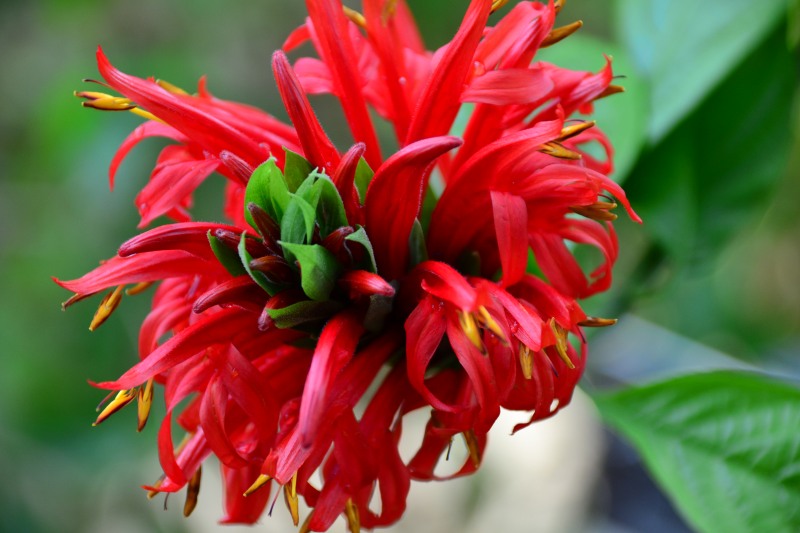 f:id:y3575t3545:20220320121223j:plain