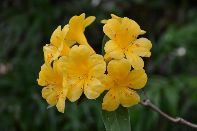 f:id:y3575t3545:20220320121238j:plain