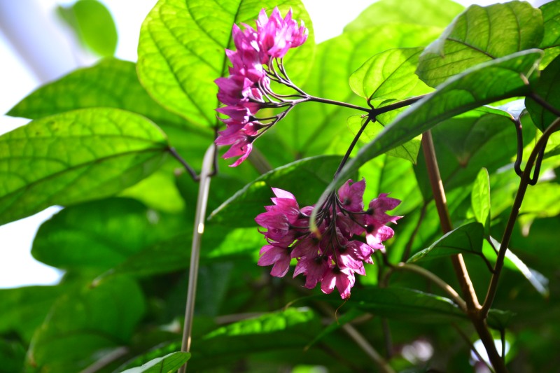 f:id:y3575t3545:20220320121254j:plain