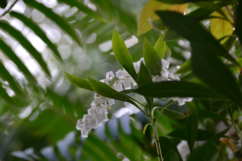 f:id:y3575t3545:20220320121404j:plain