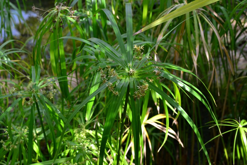 f:id:y3575t3545:20220320121539j:plain