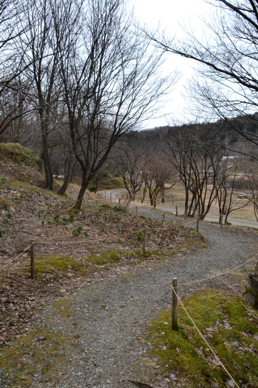 f:id:y3575t3545:20220409203628j:plain