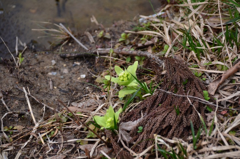 f:id:y3575t3545:20220409203845j:plain