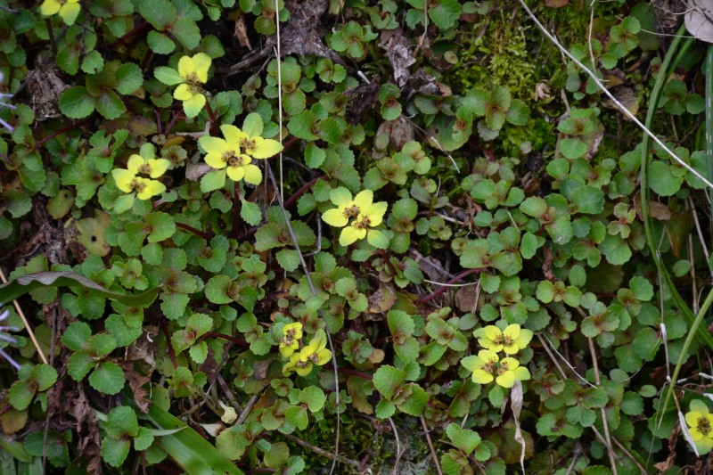 f:id:y3575t3545:20220414210758j:plain