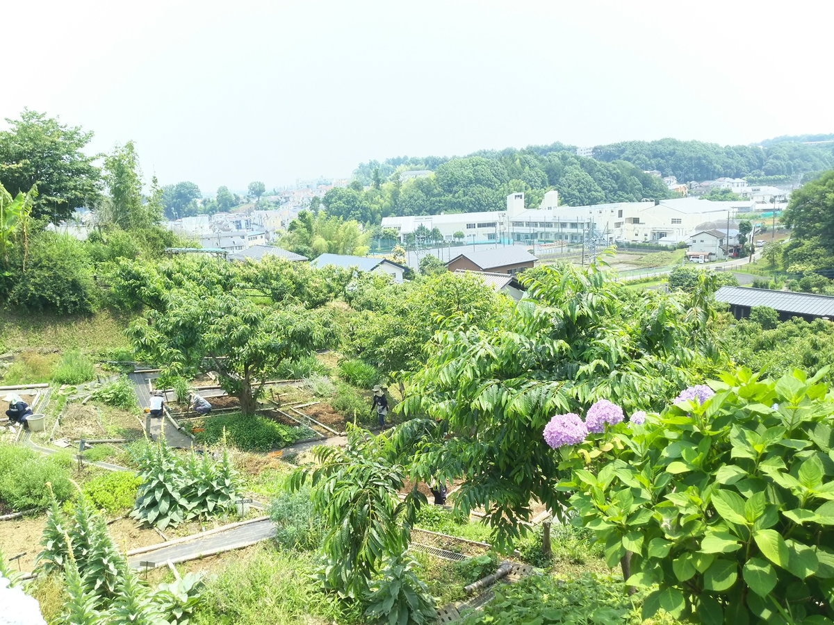 f:id:y37311:20210608171851j:plain