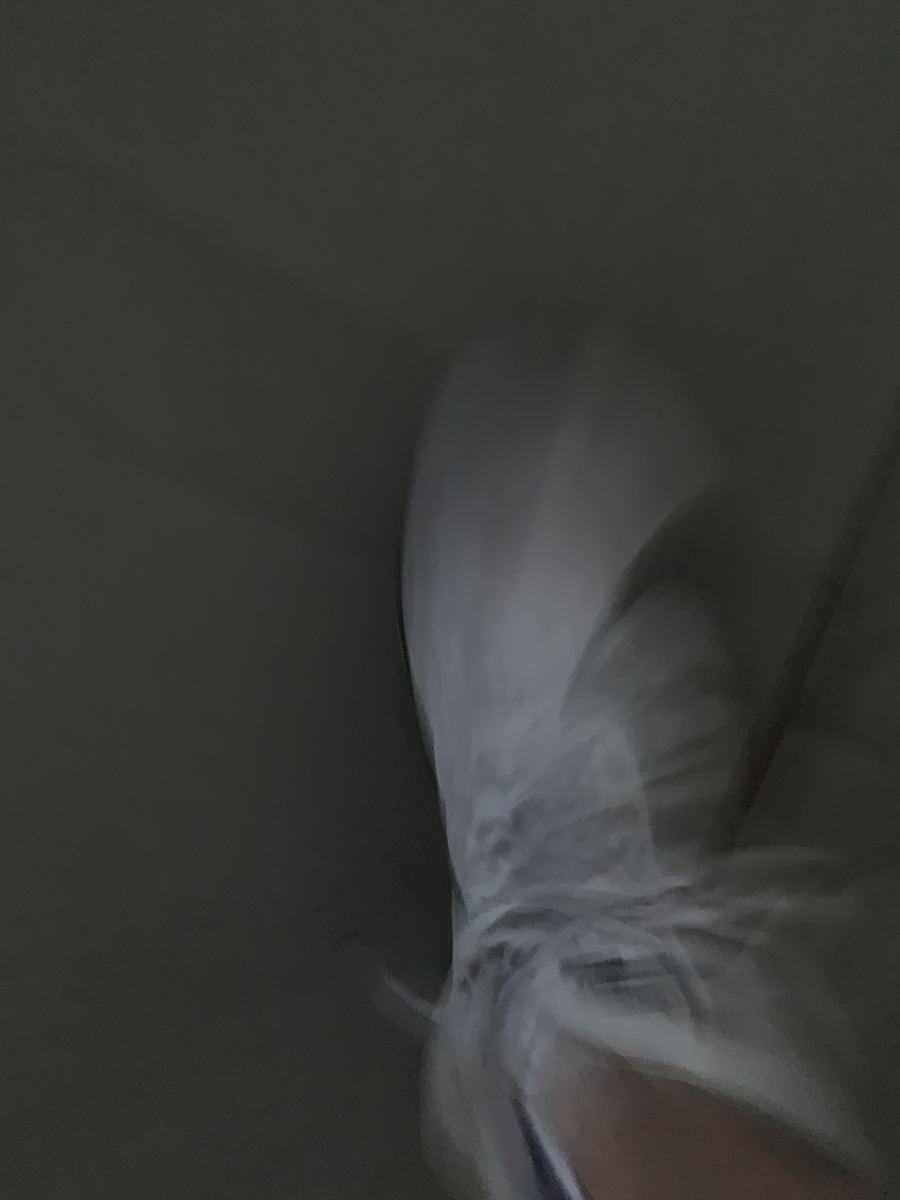 f:id:y44kura720:20200623224813j:plain f:id:y44kura720:20200623224813j:plain