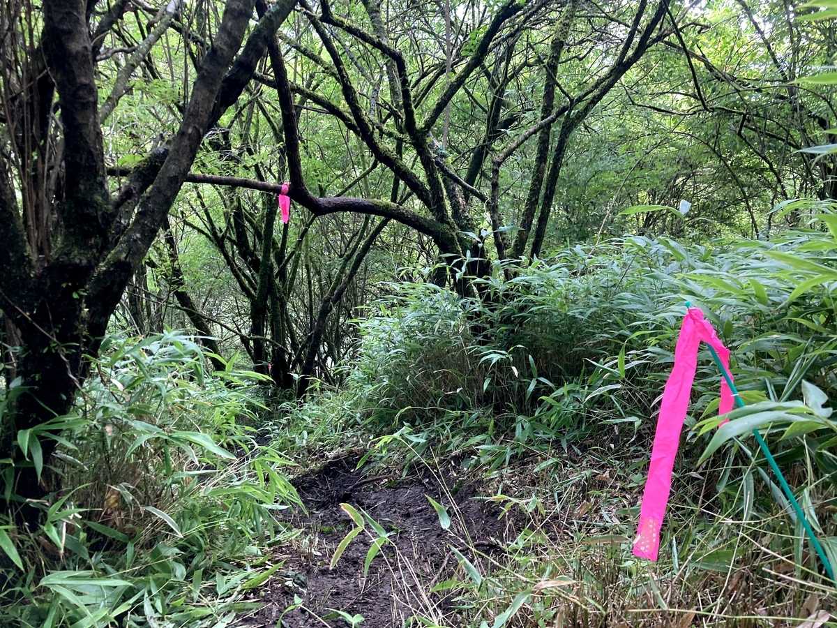 f:id:y44kura720:20210801202006j:plain