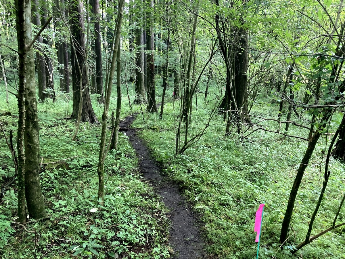 f:id:y44kura720:20210801202010j:plain