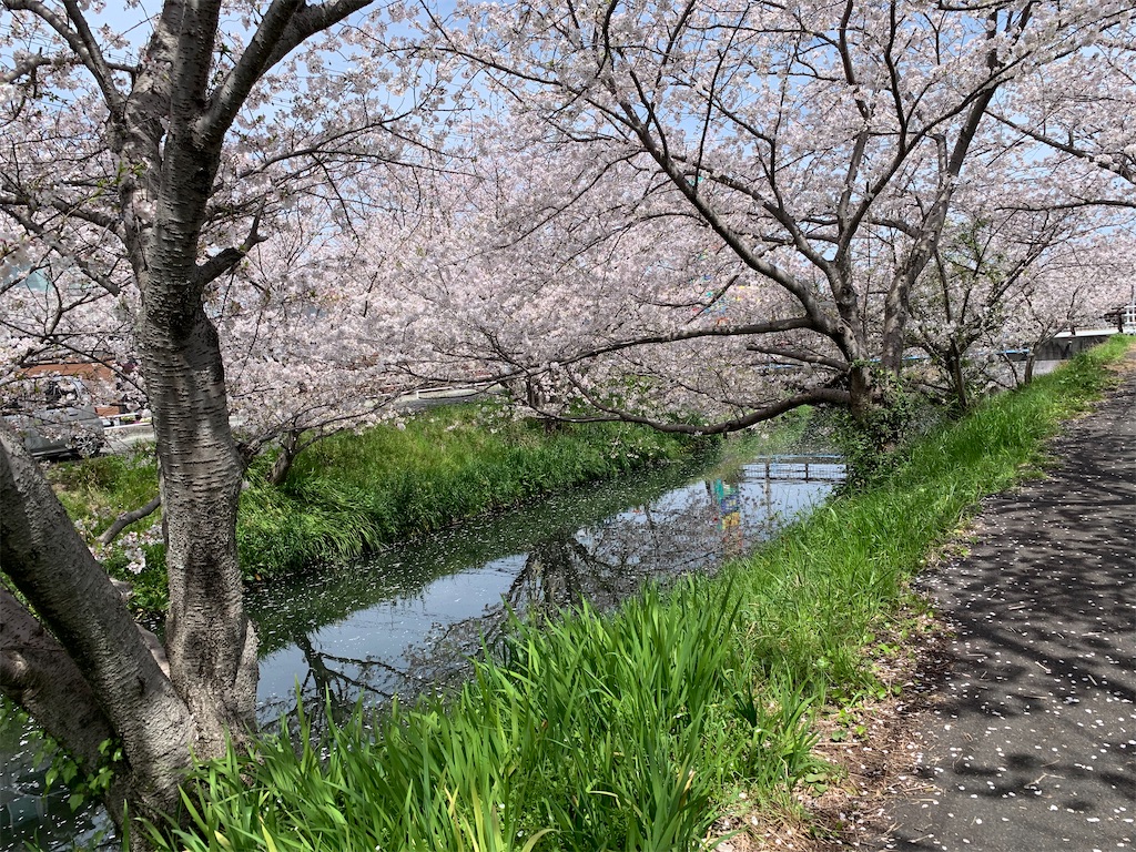 f:id:y44kura720:20240407132357j:image f:id:y44kura720:20240407132357j:image