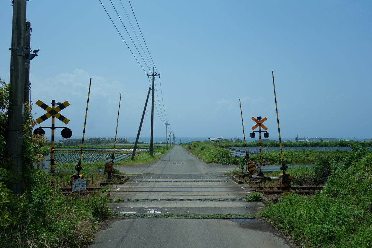 ゴルシウィーク Day2 やりたいようにやろうじゃない ゴルシウィーク Day2 やりたいようにやろうじゃない