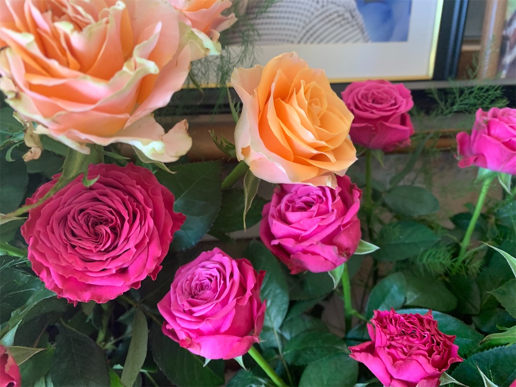 f:id:y642285:20220125060753j:image f:id:y642285:20220125060753j:image