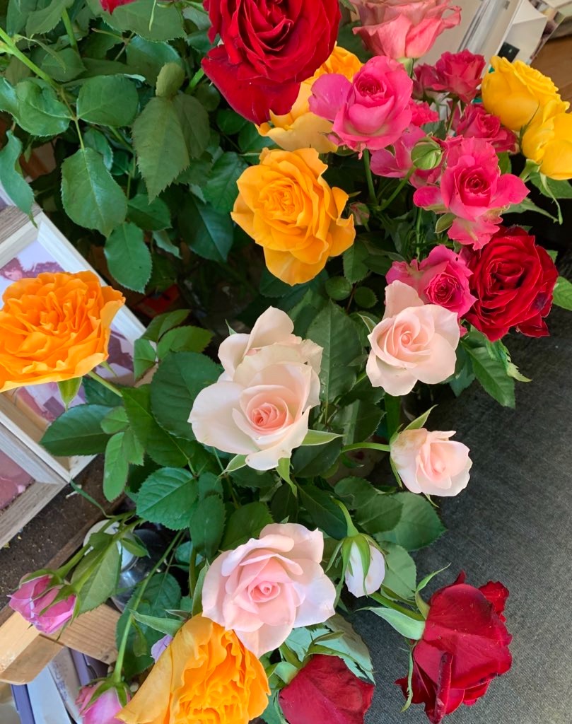 f:id:y642285:20220125060834j:image f:id:y642285:20220125060834j:image