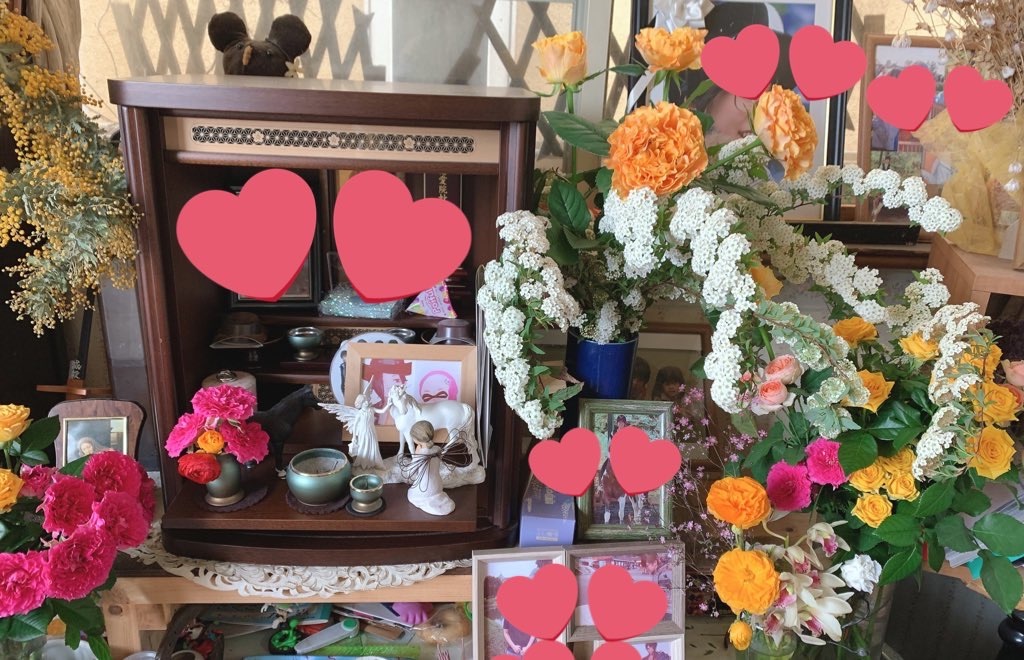 f:id:y642285:20220620233242j:image f:id:y642285:20220620233242j:image