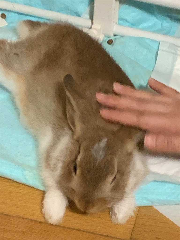 f:id:y642285:20220628233921j:image f:id:y642285:20220628233921j:image