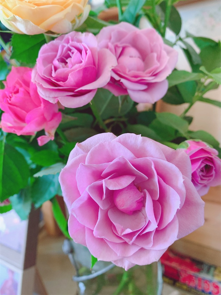 f:id:y642285:20230203184244j:image f:id:y642285:20230203184244j:image