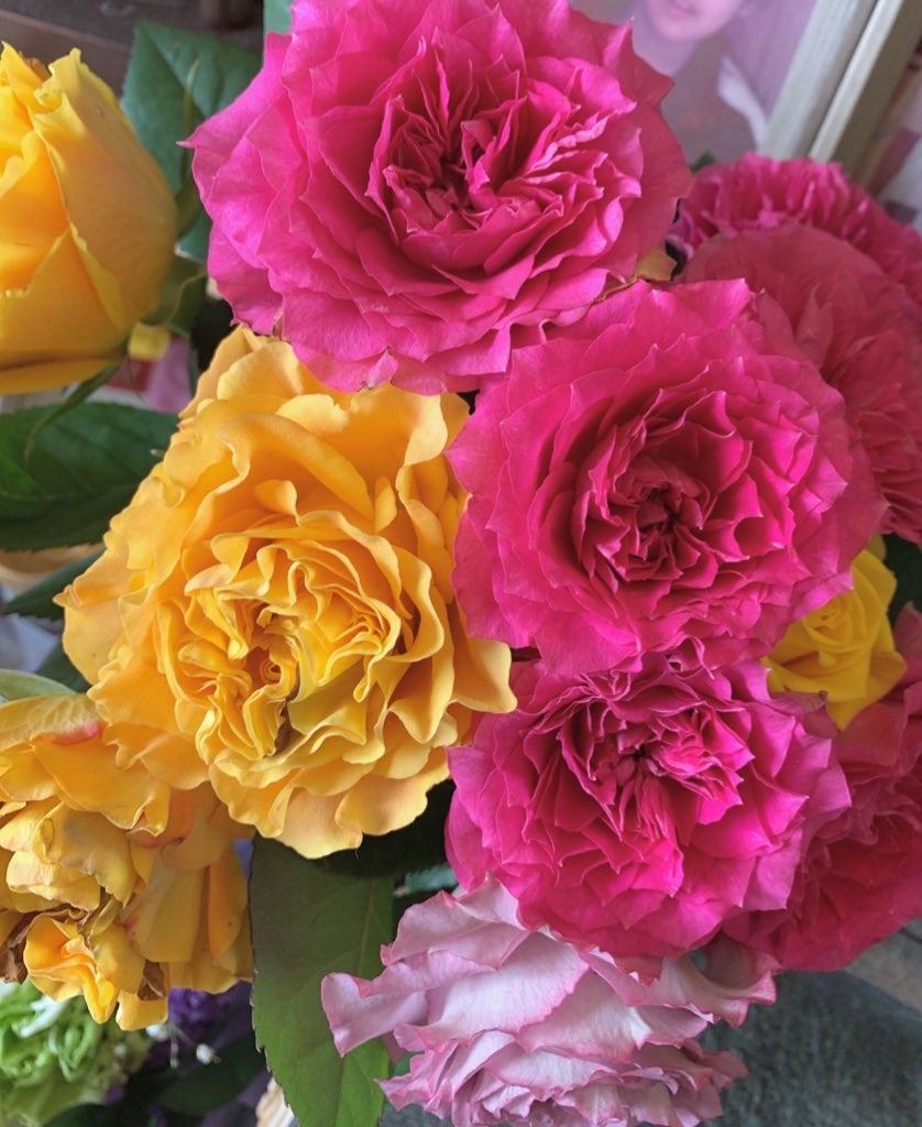 f:id:y642285:20230630222716j:image f:id:y642285:20230630222716j:image