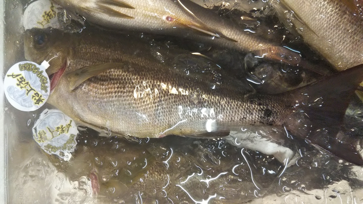 大宗田かつお うるめいわし 小鯵 活〆わらさ 直売所千倉