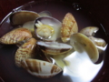 20140216194446